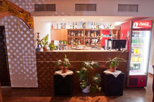 戈韦达尔齐伊斯卡家庭旅馆的餐厅设有种有盆栽植物的酒吧和冰箱