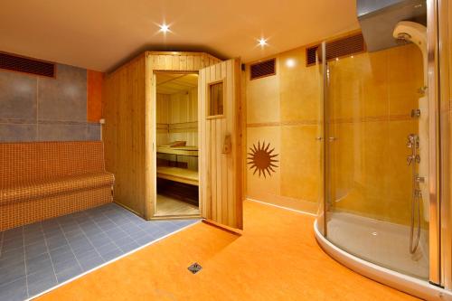 布拉格U帕瓦酒店的带淋浴和步入式淋浴间的浴室