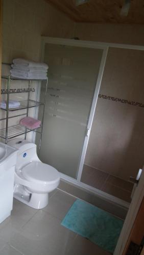 QuemchiCabañas Sol de Aucar的一间带卫生间和玻璃淋浴间的浴室