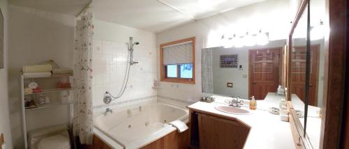 Eagle RiverAlaska Chalet Bed & Breakfast的带浴缸和盥洗盆的浴室