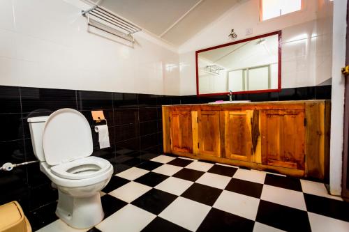 贾夫纳Dayanithi Guest House的一间带卫生间、水槽和镜子的浴室
