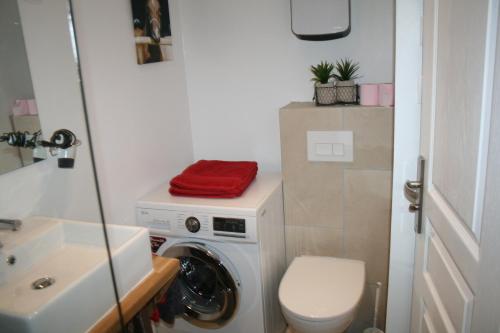利雪Gîte Pays D'Auge Lisieux Centre的一间带洗衣机和水槽的浴室