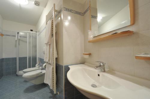 帕苏德尔托纳莱阿达梅洛酒店的一间带水槽和卫生间的浴室