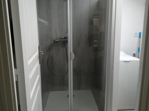 La Chapelle-Neuvestudio en campagne的浴室里设有玻璃门淋浴
