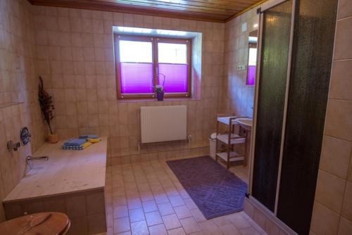 豪尔兹高Landhaus KATRIN的带淋浴和盥洗盆的浴室以及窗户。