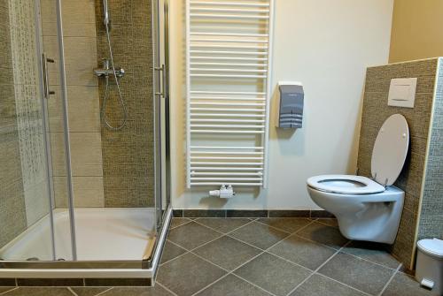 Petrovče普拉斯卡费酒店的一间带卫生间和玻璃淋浴间的浴室