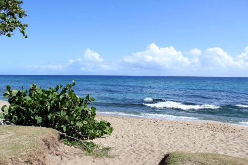 苏莎亚Villas Vargas的海滩与大海相映成趣
