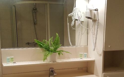 德吕特De Twentse Nar的浴室设有镜子和水槽上的植物