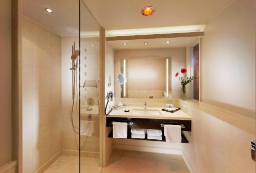 莱因费尔登-埃希特尔丁根斯图加特-梅斯机场公园酒店的一间带水槽和淋浴的浴室