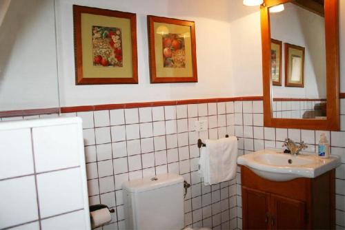 丰卡连特德拉帕尔马Casa Rural La Caldera的一间带水槽、卫生间和镜子的浴室