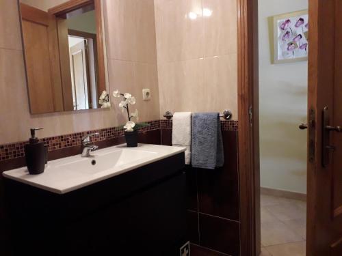 西尔韦斯Apartamento Xelb的一间带水槽和镜子的浴室
