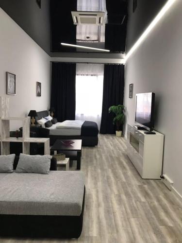 美因茨Am Brand的客厅配有两张床和一台平面电视