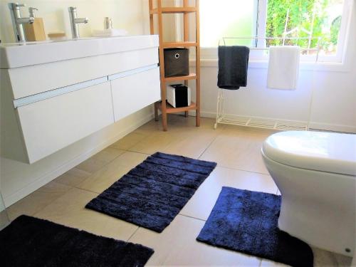 欧尼罗亚蓝鸟旅馆的浴室设有2个蓝色地毯、水槽和卫生间。