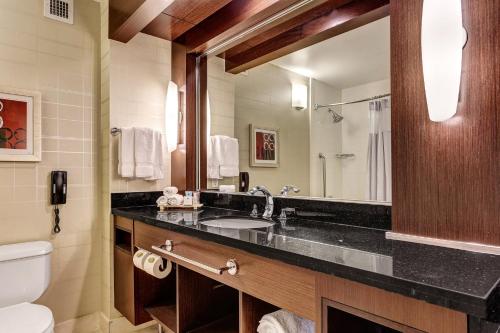 福斯特城福斯特市圣马雕皇冠假日酒店的一间带水槽、卫生间和镜子的浴室