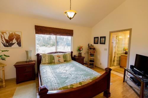 芒廷维尤酷悠伯度假屋的一间卧室设有一张床、一台电视和一个窗口。