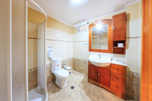 拉加纳斯Zante Bay Studios的浴室配有卫生间、盥洗盆和淋浴。
