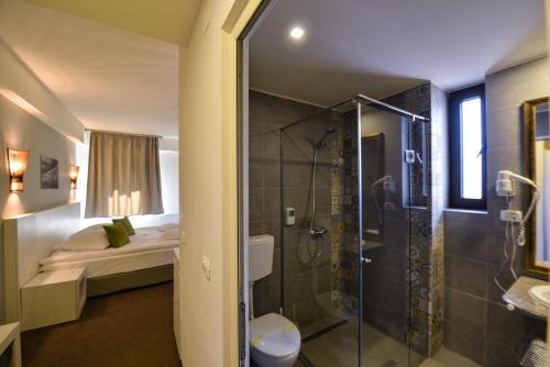 Căpăţîneni-Ungureni波萨达维德拉鲁酒店的带淋浴和卫生间的浴室以及1张床。