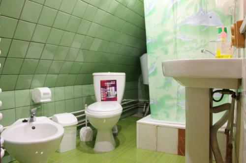 米戈韦Skhovanka Dovbusha的绿色瓷砖浴室设有卫生间和水槽