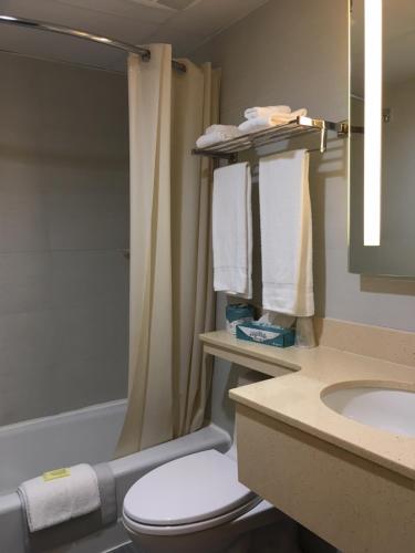 花卉公园花卉公园汽车旅馆的浴室配有卫生间、盥洗盆和淋浴。