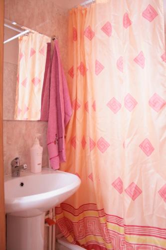 陶里亚蒂陶里亚蒂莱克旅舍的浴室配有淋浴帘和盥洗盆。