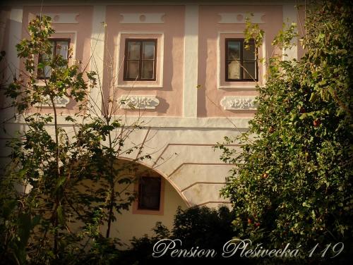 捷克克鲁姆洛夫普拉斯维卡119宾馆的前方有窗户和树木的建筑