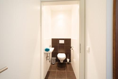 斯拉德明Apartment Warter的一间小浴室,内设卫生间