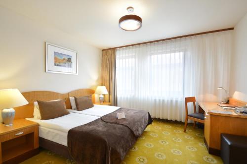 卢布林Hotel Agit Congress&Spa的配有一张床和一张书桌的酒店客房