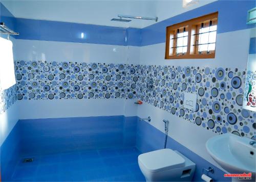 提喀迪Holiday Villa的蓝色的浴室设有卫生间和水槽
