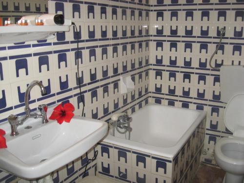 阿查拉维玛丽酒店的一间带水槽和卫生间的浴室