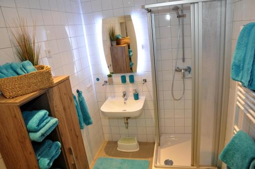 威斯巴登奎林公寓的带淋浴、盥洗盆和淋浴的浴室
