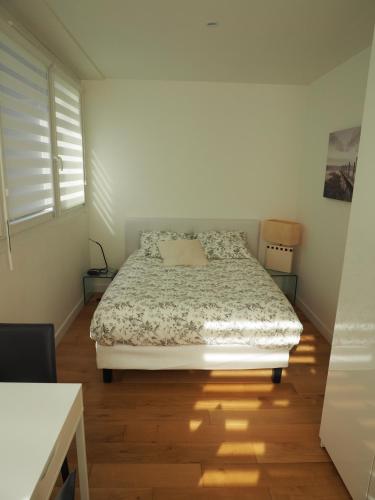 斯特拉斯堡Appartement place Golbéry的一间卧室配有一张床,铺有木地板