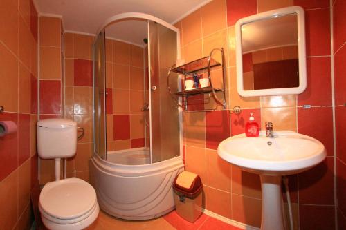 莫伊西德约斯Pensiunea Ianis Moieciu的浴室配有卫生间、盥洗盆和淋浴。