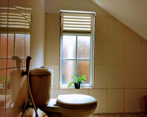 拉维尼亚山维拉图民宿的一间带卫生间和窗户的浴室