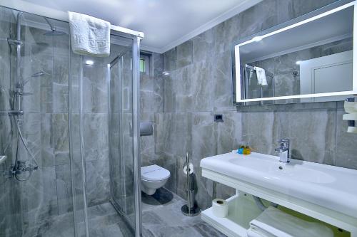 伊斯坦布尔摩纳哥酒店的带淋浴、盥洗盆和卫生间的浴室