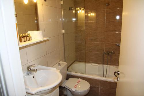 特里卡拉潘尼尔里尼恩酒店的一间带水槽、卫生间和淋浴的浴室