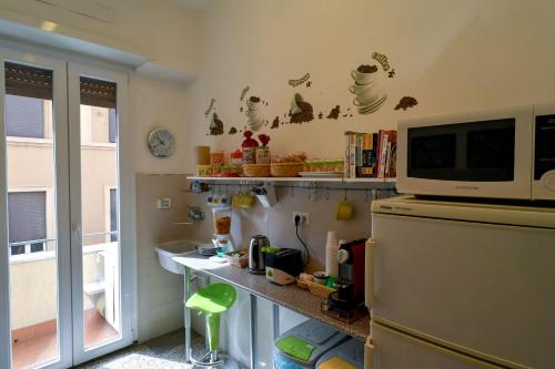 罗马阿卡萨迪巴尔巴拉住宿加早餐旅馆的厨房配有冰箱上方的微波炉