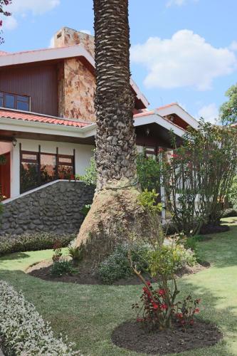 昆卡Casatodosantos的房屋前的棕榈树