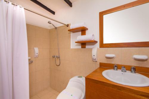 阿约拉港嘉年华酒店的一间带水槽、卫生间和镜子的浴室