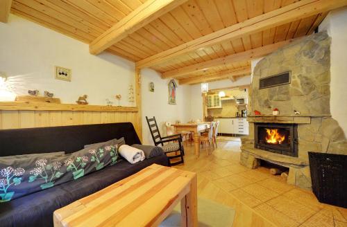 维斯瓦Sun Seasons 24 - Domek Bacówka的带沙发和壁炉的客厅