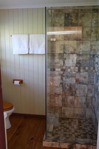 克尼斯纳Allan Grove的设有带卫生间的浴室内的淋浴间