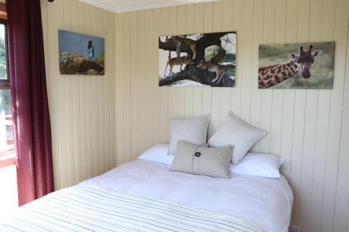 克尼斯纳Allan Grove的卧室配有一张四幅画的墙壁床。