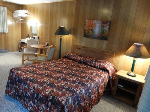 缪尼辛Buckhorn Resort的酒店客房配有一张床铺和一张桌子。