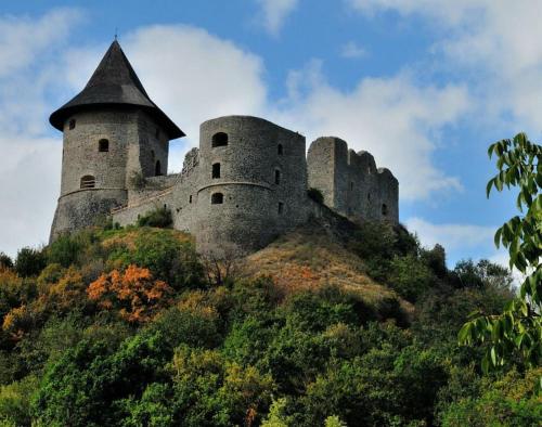 绍尔戈陶尔扬Kis Rigó vendégház的一座树冠茂密的山顶上的城堡