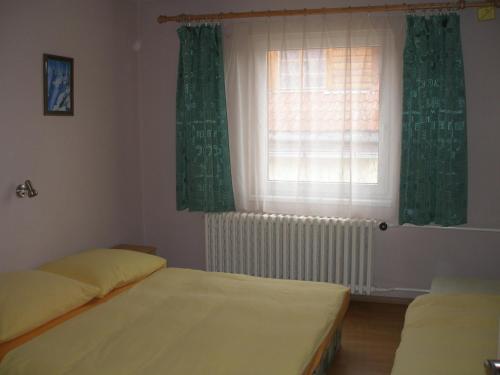 帕维西纳勒霍塔Privat 107的一间卧室设有两张床,窗户设有绿色窗帘