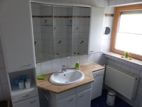MeßstettenFerienwohnung Janko的一间带水槽和淋浴的浴室