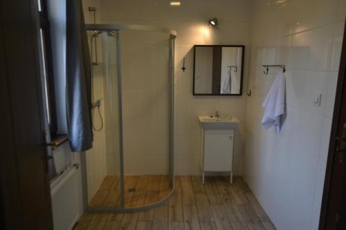 莱格尼察SleepWell Apartments的一间带玻璃淋浴和水槽的浴室