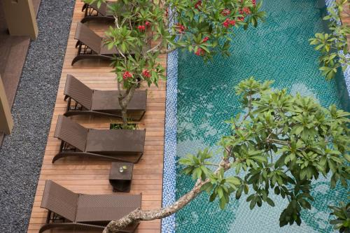 库塔桑提卡库塔酒店的享有带椅子和树木的游泳池的顶部景致