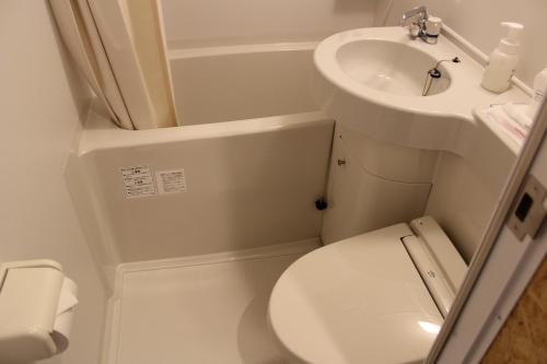 日光日光站酒店二番馆(Nikko Station Hotel 2)的一间带卫生间和水槽的小浴室