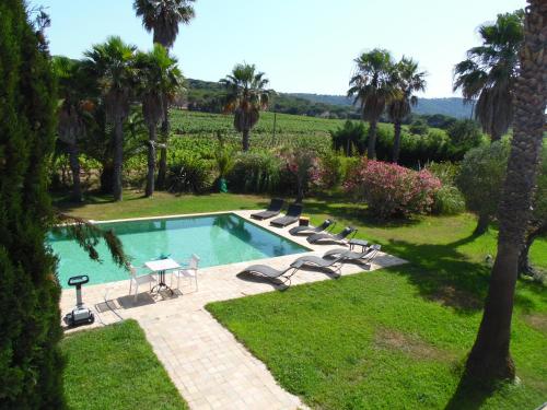 拉马蒂埃勒Clos des Vignes Pampelonne Vineyard的棕榈树庭院内的游泳池