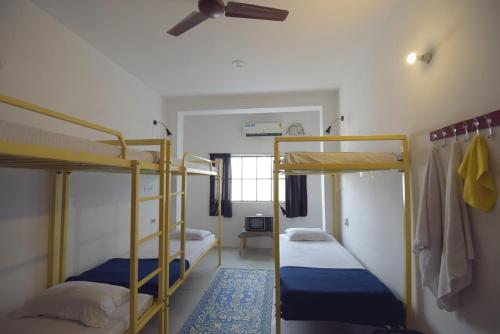 斋浦尔Chalo Eco Hostel的客房设有两张双层床和吊扇。